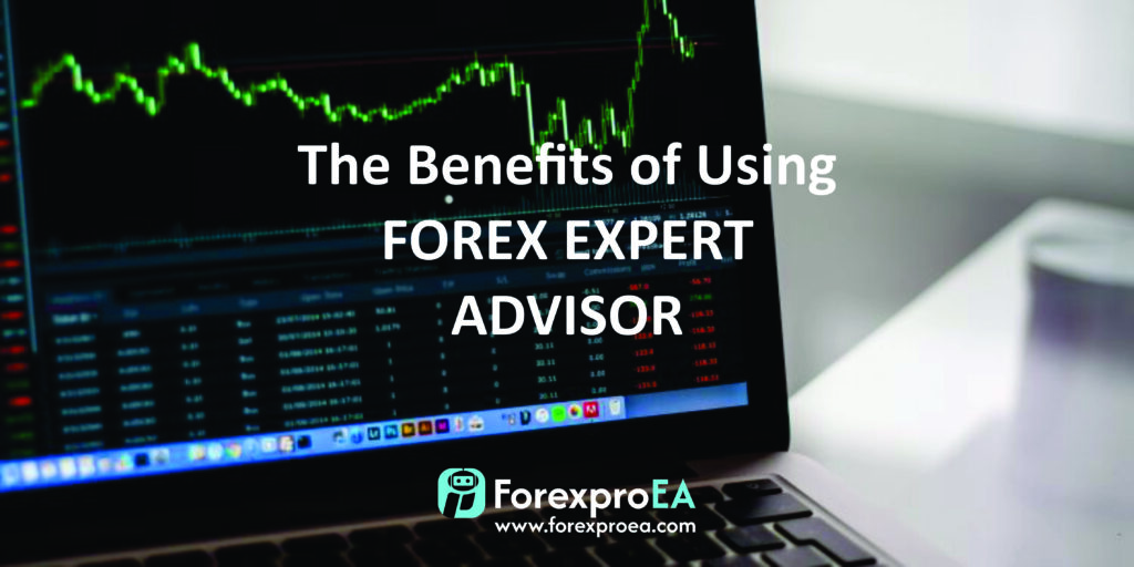 Forex Expert Advisor