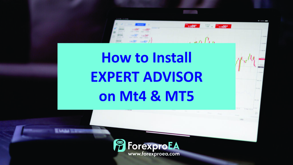 MT4